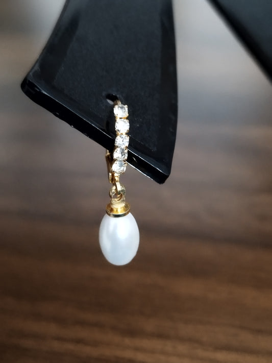 Pearl and Stone Beaded Earrings